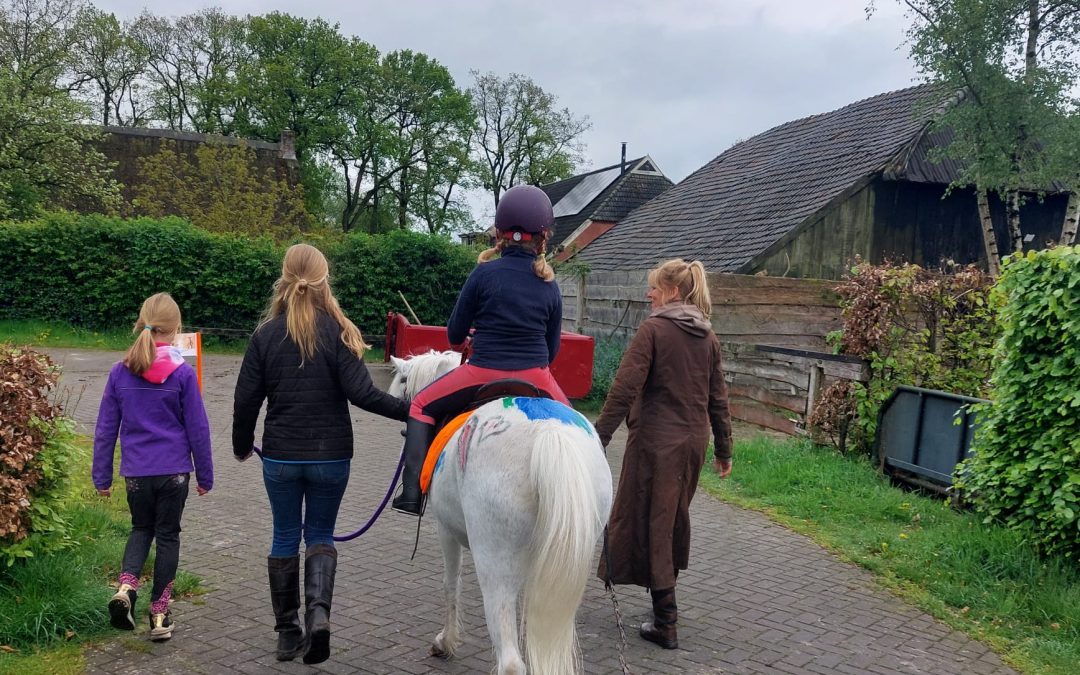 Genieten van mennen en rijden bij de Open Dag bij ”Suus & Luus” in Anloo