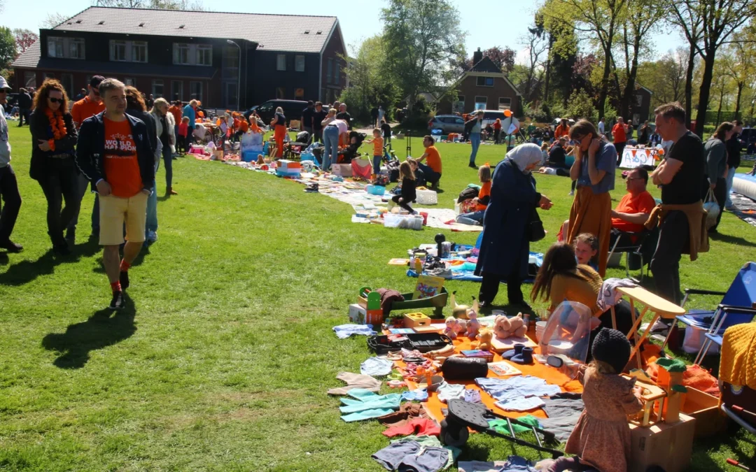 Rolde gaat voor record met grootste koningsvlag op Koningsdag